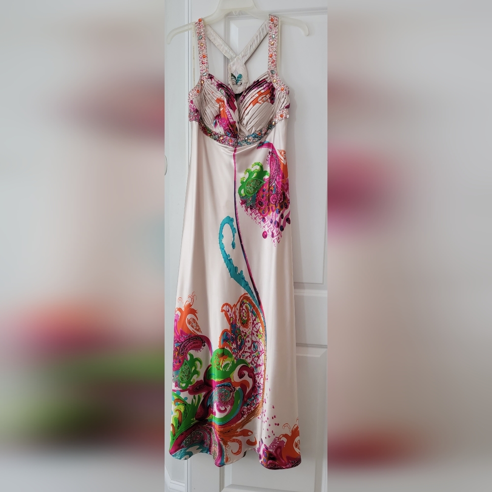 Ignite Evenings by Carol Lin Formal Dress size 16
